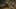 Game screenshot thumbnail 5