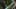 Game screenshot thumbnail 2