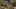 Game screenshot thumbnail 2