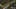 Game screenshot thumbnail 5