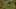 Game screenshot thumbnail 1