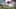 Game screenshot thumbnail 1