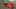 Game screenshot thumbnail 2