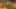 Game screenshot thumbnail 4