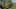 Game screenshot thumbnail 5