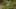 Game screenshot thumbnail 5