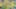 Game screenshot thumbnail 2