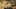 Game screenshot thumbnail 3