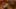 Game screenshot thumbnail 1