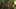 Game screenshot thumbnail 5