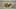 Game screenshot thumbnail 4
