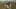 Game screenshot thumbnail 4