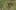 Game screenshot thumbnail 1