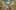 Game screenshot thumbnail 4