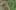 Game screenshot thumbnail 5