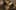 Game screenshot thumbnail 5