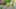 Game screenshot thumbnail 5