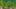 Game screenshot thumbnail 5