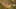 Game screenshot thumbnail 2