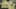 Game screenshot thumbnail 2