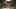 Game screenshot thumbnail 1