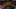 Game screenshot thumbnail 5