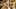 Game screenshot thumbnail 1