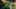 Game screenshot thumbnail 2