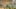 Game screenshot thumbnail 1