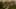 Game screenshot thumbnail 2