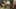 Game screenshot thumbnail 1