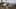 Game screenshot thumbnail 5