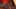 Game screenshot thumbnail 5
