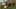 Game screenshot thumbnail 1