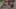 Game screenshot thumbnail 4
