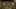 Game screenshot thumbnail 1