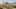 Game screenshot thumbnail 5