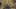 Game screenshot thumbnail 2