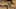 Game screenshot thumbnail 2