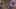 Game screenshot thumbnail 4