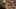 Game screenshot thumbnail 4