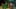 Game screenshot thumbnail 2