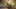 Game screenshot thumbnail 1
