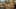 Game screenshot thumbnail 4