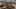 Game screenshot thumbnail 5