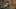 Game screenshot thumbnail 2