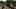 Game screenshot thumbnail 5