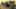Game screenshot thumbnail 3