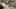 Game screenshot thumbnail 2