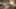 Game screenshot thumbnail 4